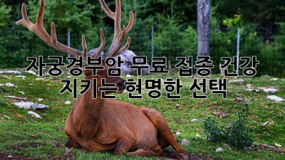 자궁경부암 무료 접종: 건강 지키는 현명한 선택