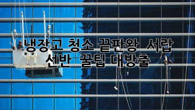 냉장고 청소 끝판왕 👑 서랍 & 선반 ✨ 꿀팁 대방출!