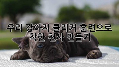 우리 강아지, 클리커 훈련으로 착한 천사 만들기🐶